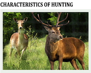 Charakteristics hunting