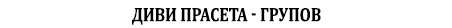 Диви прасета
