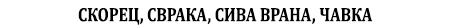 сврака