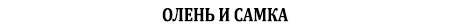 охотничьем хозяйстве - самка