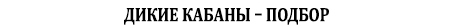 охота на дикие кабаны